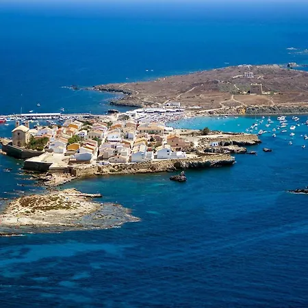 Iguanas Villa Gran Alacant