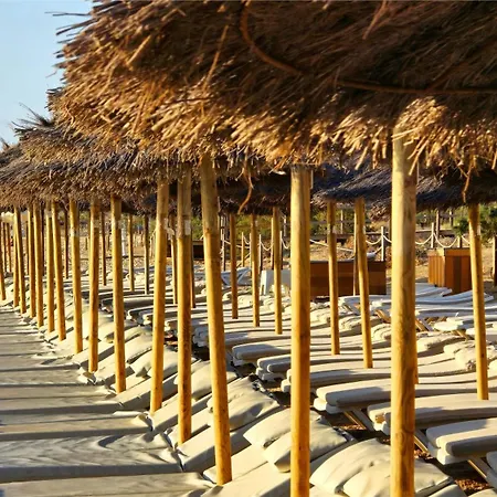 Villa Iguanas *