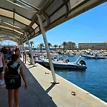 Iguanas * Gran Alacant