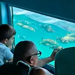 Iguanas * Gran Alacant