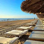Iguanas * Gran Alacant