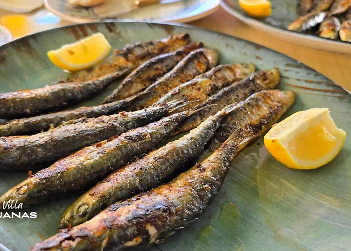 Iguanas גראן אלקנט